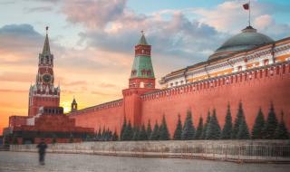 Кремъл: Имаше силен натиск в Интерпол