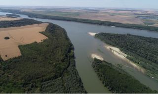 Ще имаме защитена зона за есетри в река Дунав