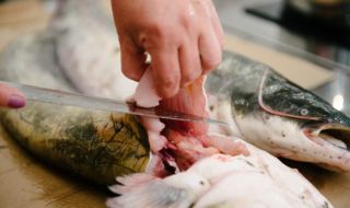 БАБХ: Няма данни за разпространение на риба тон с метал в България