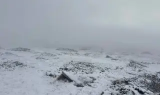 Сняг вали и на Златните мостове на Витоша ВИДЕО