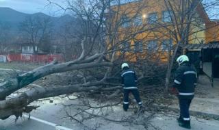 Бурен вятър във Враца нанесе щети на сгради и по улици