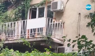 Десетки кучета, затворени в къща в София, тормозят цял квартал