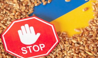 Унгария иска ЕС да ограничи вноса на украинско зърно поне до края на 2023 г.