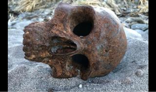 Жена намери мистериозен череп на плажа (СНИМКИ)