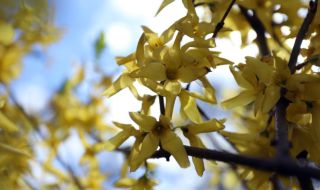 Времето днес, прогноза за събота, 12 август: Слабо повишение на температурите