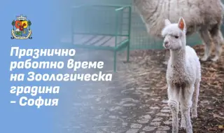 Зоологическа градина - София временно няма да посреща посетители