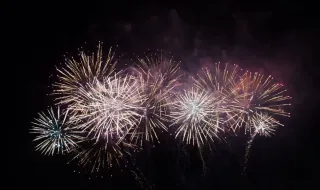 Parliament decided: New rules for weapons and fireworks