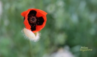 Снимката от нас – заглавието от вас