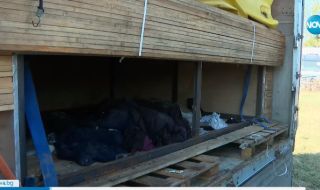 Камионът с мъртвите мигранти край Локорско, е спирал на АМ „Тракия”