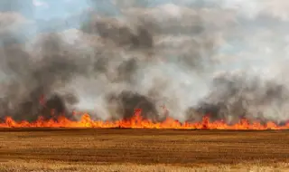Основният фронт на пожара край Костинброд е в село Понор