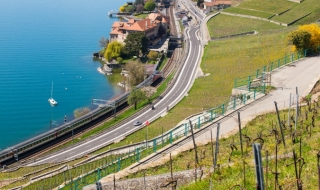 Швейцария отваря пазара на труда за българи