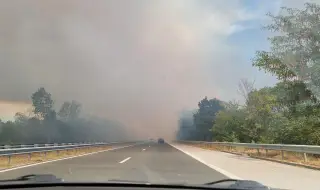 Огънят във Варненско тръгна отново. Пак затвориха магистрала "Хемус"