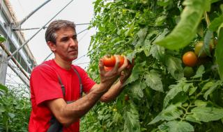 Български сезонни работници ще работят в Германия