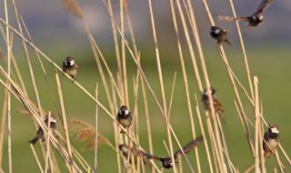 Слънчев четвъртък