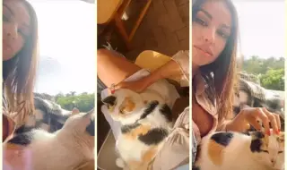 Известната Мадалина Геня си показа котето (СНИМКИ)