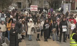 Пред ВМА протестираха под наслов "Мая, не сме те забравили"