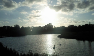 Чака ни слънчев ден