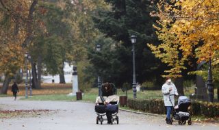 ПП: Съществена част от Борисова градина е в ръцете на знакови фигури от тъмните години