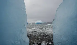 Франция открива консулство в Гренландия на фона на напрежението около бъдещето на острова