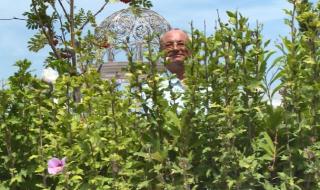 Протестиращи оставиха баница и почетни оставки на оградата на Доган