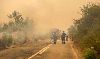 Българка за пожарите в Гърция: Истински апокалипсис. Хората не помнят такова бедствие 