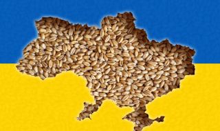 Може ли НАТО да ескортира кораби с украинско зърно в Черно море?