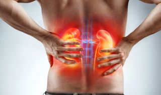 8 симптома издават проблем с бъбреците