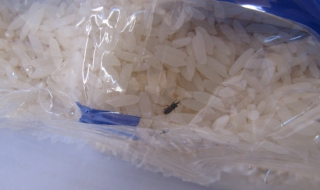 Нова гавра с храните за бедни