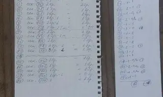 Задържаха рускиня в Стара Загора, купувала гласове по 30 евро