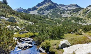 Експерти: Българските национални паркове са по-атрактивни от швейцарските