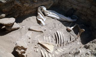 Oткриха 110 древни гроба в делтата на Нил