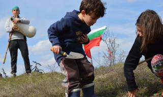 Засаждат 50 000 дръвчета в цяла България