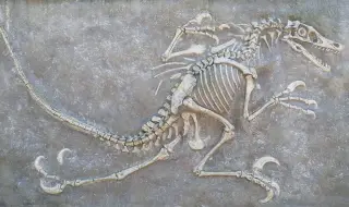 Новооткрити останки от динозаври в Уелс изненадаха учените 