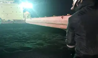 БАБХ: Открити са пестициди в слънчогледа от Аржентина и от втория кораб