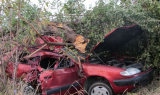 Три жертви на пътя за ден