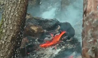 Десетки пожарникари и доброволци се борят с огъня в Кюстендилско