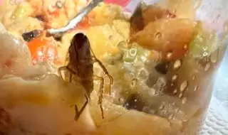 "Добър апетит": Майка намери хлебарка в храна от детска кухня в Монтана 