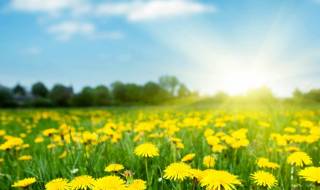 Отново пролетно слънце