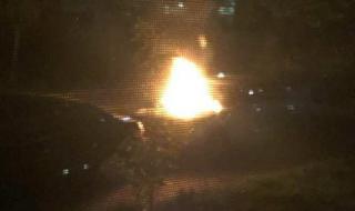 Подпалиха колата на кметицата на Козлодуй