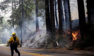 Пожарите в Калифорния се разрастват, няма пострадали българи