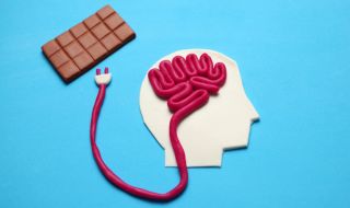Учени: Консумацията на какао подобрява работата на мозъка
