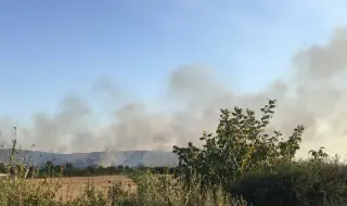 Стотици декари с пшеница и гора горят в Плевенско
