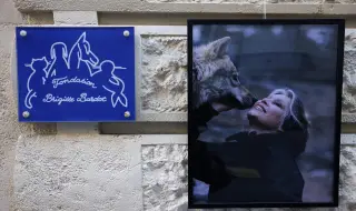 Днес ще бъде погребението на Бриджит Бардо в родния ѝ Сен Тропе