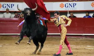 Испания повече няма да толерира бикоборството