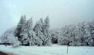 Ограничена видимост по пътищата заради мъгла и сняг