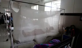 First case of chikungunya virus in Romania 