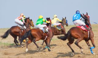 Спортът се завръща в Киев - конни надбягвания събраха над 3 хил. зрители