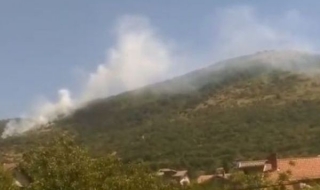 Горски пожар в Пловдивско