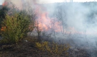Губим 22 000 хектара гори годишно при пожари