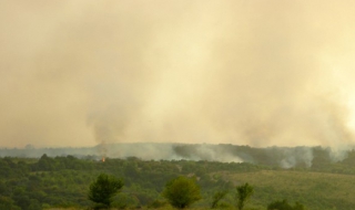 Пожар край Лесово (Обновена в 11:15 ч.)